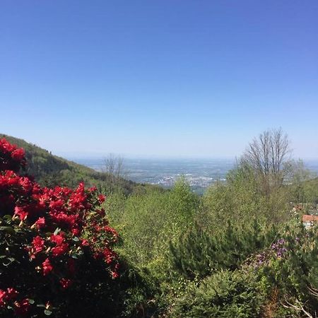 Apartamento View From The Rock Sasbachwalden Exterior foto